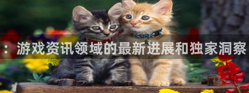 蓝冠娱乐的意思：：游戏资讯领域的最新进展和独家洞察