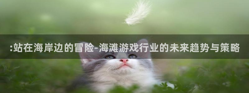 蓝冠娱乐主管：:站在海岸边的冒险-海滩游戏行业的未来趋势与策