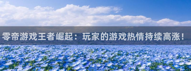 蓝冠娱乐平台：零帝游戏王者崛起：玩家的游戏热情持续高涨！