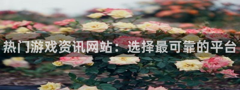蓝冠娱乐在线登录：热门游戏资讯网站：选择最可靠的平台