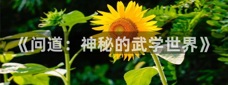 蓝冠娱乐Ii：《问道：神秘的武学世界》