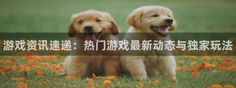 蓝冠娱乐咨询：游戏资讯速递：热门游戏最新动态与独家玩法