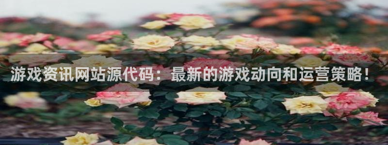 蓝冠娱乐4主管：游戏资讯网站源代码：最新的游戏动向和运营策略
