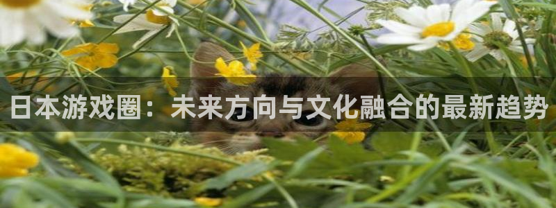 蓝冠娱乐官方注册登录：日本游戏圈：未来方向与文化融合的最新趋