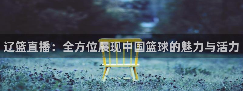 88看球直播无插件nba：辽篮直播：全方位展现中国篮球的魅力与活力