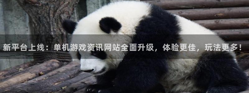 蓝冠官方：新平台上线：单机游戏资讯网站全面升级，体验更佳，玩