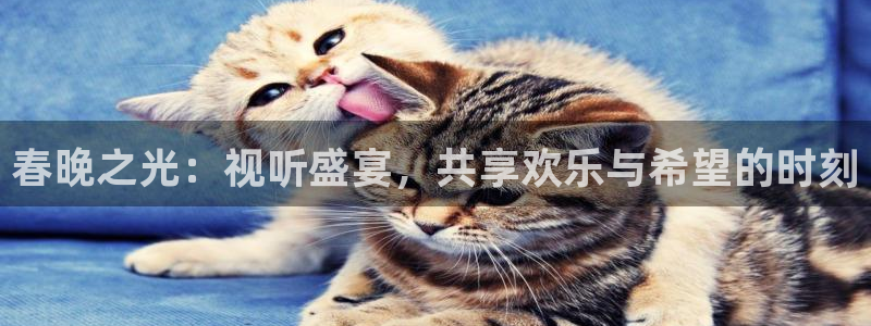 88看球直播：春晚之光：视听盛宴，共享欢乐与希望的时刻