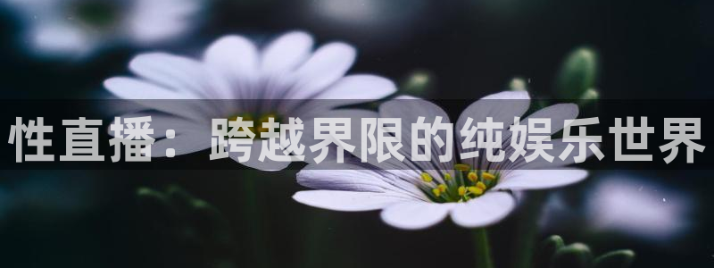 nba直播免费观看直播在线88看球：性直播：跨越界限的纯娱乐世界