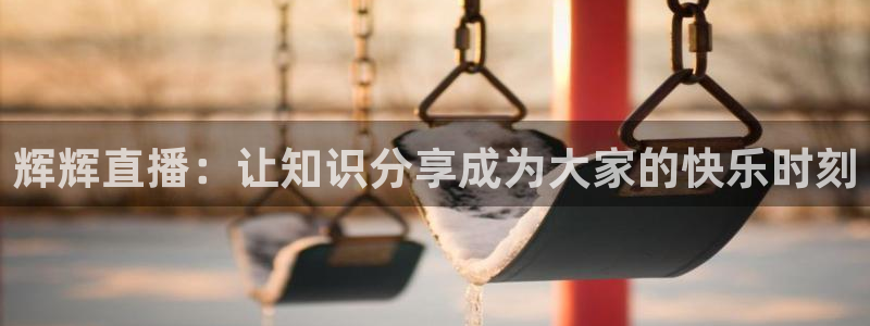88看球直播(无插件)：辉辉直播：让知识分享成为大家的快乐时刻