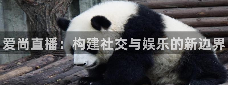 nba88看球直播免费直播：爱尚直播：构建社交与娱乐的新边界