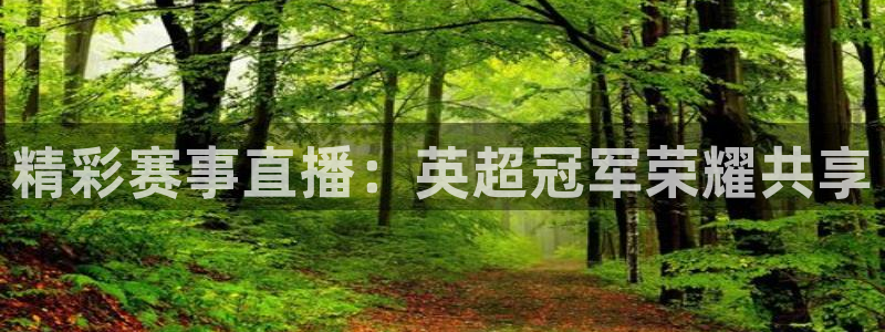 88看球nba直播免费观看高清：精彩赛事直播：英超冠军荣耀共享